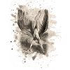 Icarus
