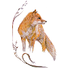 Fuchs