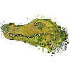 Crocodile Graffiti