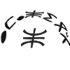 amazigh