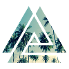 Palmen Design
