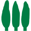 3 trees - v