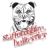 Staffordshire Bullterrier