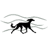 Saluki Motif