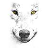 lobo, gran, cabeza, wolf, big, face, lobo gris