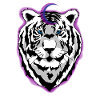tigre de la nuit