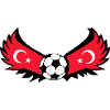 Soccer Turkey