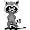 little racoon