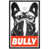 Bully Streetart
