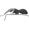 anteater