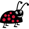 ladybird
