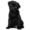 006 PS-WELPE-SCHWARZ-20