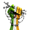 Irish Freedom Fist