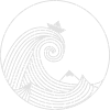 welle