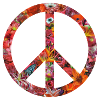 flower peace light