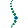 Physio 9 Logo