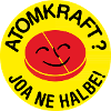 Halbe Atomkraft