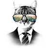 NYC Cat
