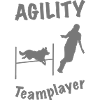 Agility Hürde Border