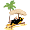Monkey at the beach
