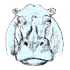 hippo