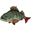 Red River: Perch