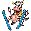 Cow skiing
