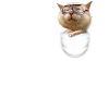 POCKET GOGGLE CAT
