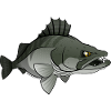 Red River: Zander