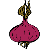 onion