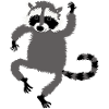 tanzender Waschbär