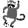 Waschbär Fussball