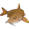 Red River: Barbel