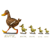 Ente
