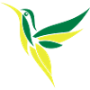 Kolibri hummingbird 2-farbig
