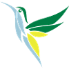 Kolibri hummingbird 3-farbig