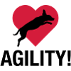 biglove_jack_russel