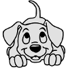 Chiot