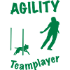 Agility Slalom Terrier