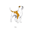 ambulldog11