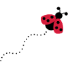 Ladybug