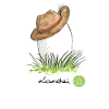 Landei