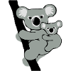 koala and baby