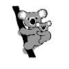 koala bär