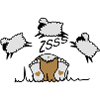Counting Sheep