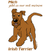 Mein Irish Terrier