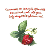 Strawberries- Erdbeeren