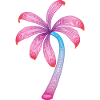 summer palm