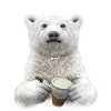 BARISTA (PLAIN)