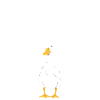 What The Duck